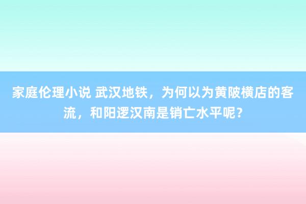 家庭伦理小说 武汉地铁，为何以为黄陂横店的客流，和阳逻汉南是销亡水平呢？