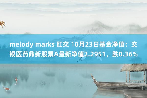 melody marks 肛交 10月23日基金净值：交银医药鼎新股票A最新净值2.2951，跌0.36%