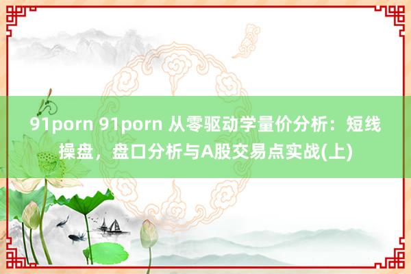 91porn 91porn 从零驱动学量价分析：短线操盘，盘口分析与A股交易点实战(上)