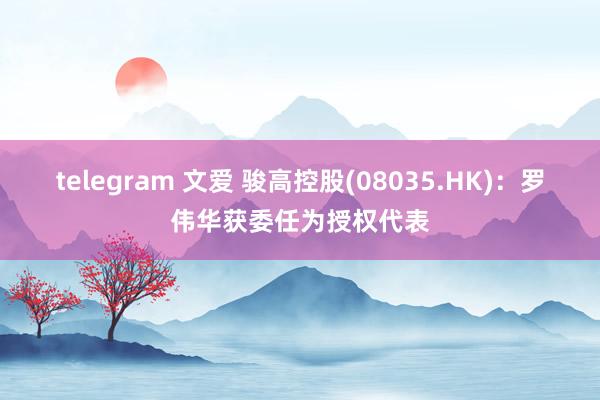 telegram 文爱 骏高控股(08035.HK)：罗伟华获委任为授权代表