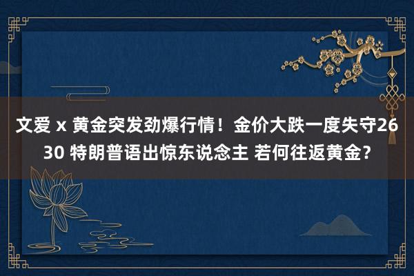 文爱 x 黄金突发劲爆行情！金价大跌一度失守2630 特朗普语出惊东说念主 若何往返黄金？