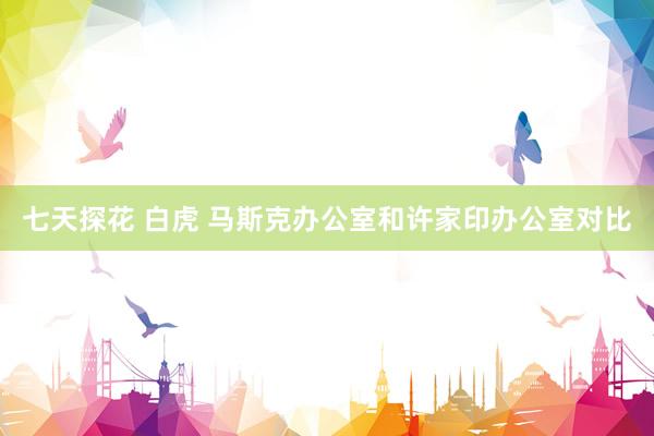 七天探花 白虎 马斯克办公室和许家印办公室对比