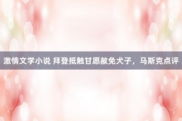 激情文学小说 拜登抵触甘愿赦免犬子，马斯克点评