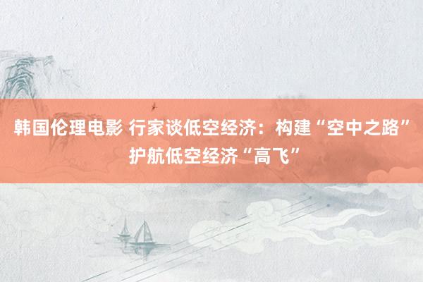韩国伦理电影 行家谈低空经济：构建“空中之路” 护航低空经济“高飞”