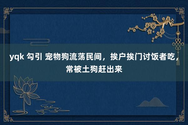 yqk 勾引 宠物狗流荡民间，挨户挨门讨饭者吃，常被土狗赶出来