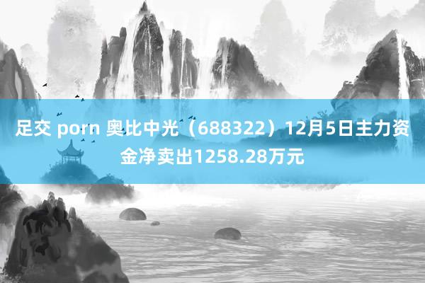 足交 porn 奥比中光（688322）12月5日主力资金净卖出1258.28万元