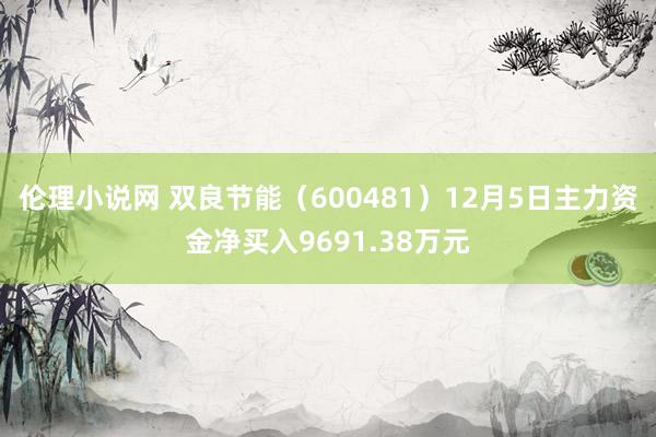 伦理小说网 双良节能（600481）12月5日主力资金净买入9691.38万元