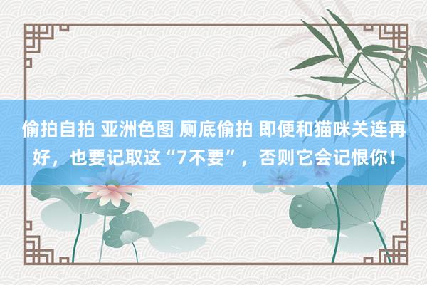 偷拍自拍 亚洲色图 厕底偷拍 即便和猫咪关连再好，也要记取这“7不要”，否则它会记恨你！