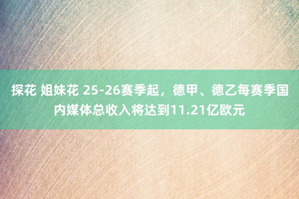 探花 姐妹花 25-26赛季起，德甲、德乙每赛季国内媒体总收入将达到11.21亿欧元