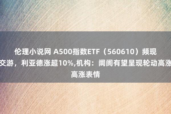 伦理小说网 A500指数ETF（560610）频现溢价交游，利亚德涨超10%，机构：阛阓有望呈现轮动高涨表情
