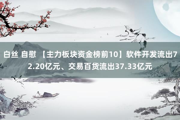 白丝 自慰 【主力板块资金榜前10】软件开发流出72.20亿元、交易百货流出37.33亿元