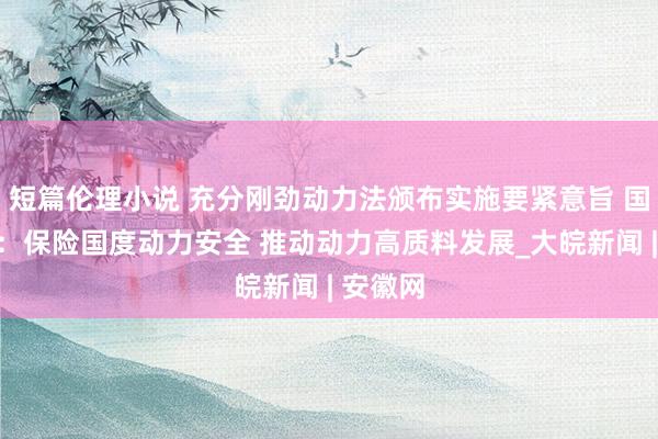短篇伦理小说 充分刚劲动力法颁布实施要紧意旨 国度电网：保险国度动力安全 推动动力高质料发展_大皖新闻 | 安徽网