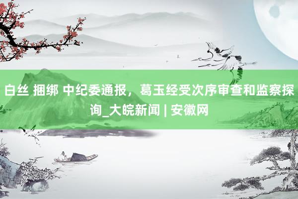 白丝 捆绑 中纪委通报，葛玉经受次序审查和监察探询_大皖新闻 | 安徽网