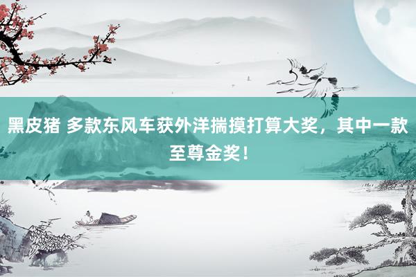黑皮猪 多款东风车获外洋揣摸打算大奖，其中一款至尊金奖！