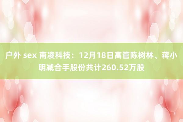 户外 sex 南凌科技：12月18日高管陈树林、蒋小明减合手股份共计260.52万股