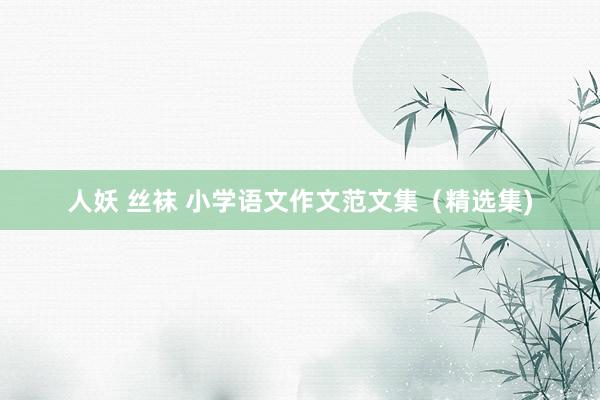 人妖 丝袜 小学语文作文范文集（精选集)