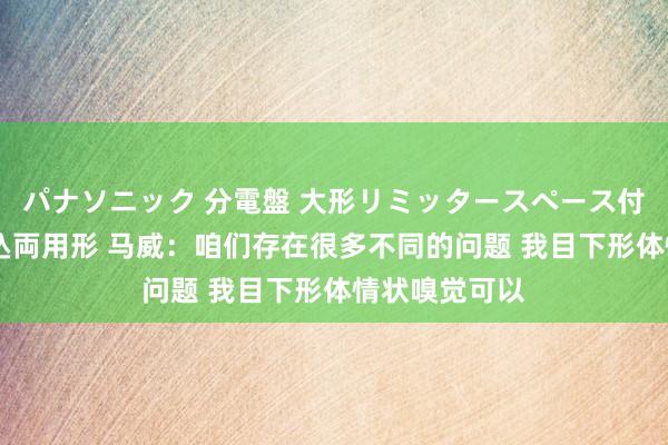 パナソニック 分電盤 大形リミッタースペース付 露出・半埋込両用形 马威：咱们存在很多不同的问题 我目下形体情状嗅觉可以