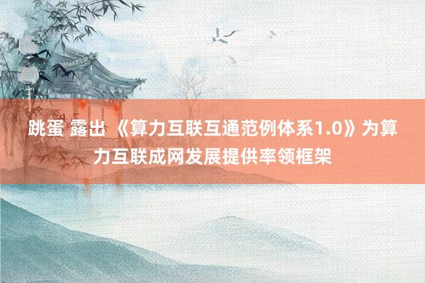 跳蛋 露出 《算力互联互通范例体系1.0》为算力互联成网发展提供率领框架