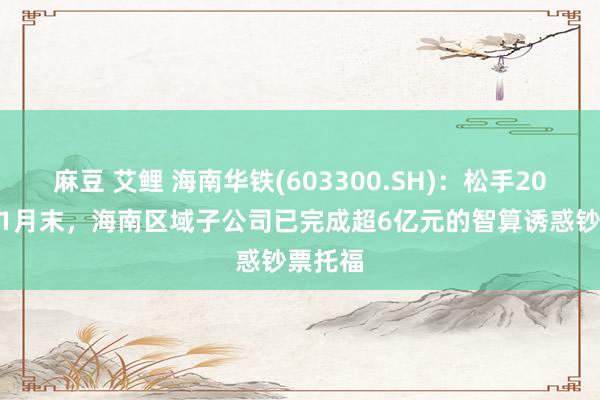 麻豆 艾鲤 海南华铁(603300.SH)：松手2024年11月末，海南区域子公司已完成超6亿元的智算诱惑钞票托福