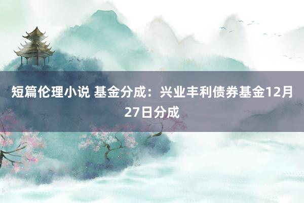 短篇伦理小说 基金分成：兴业丰利债券基金12月27日分成