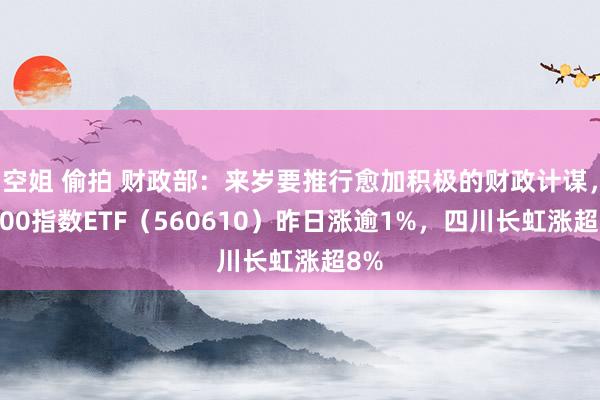 空姐 偷拍 财政部：来岁要推行愈加积极的财政计谋，A500指数ETF（560610）昨日涨逾1%，四川长虹涨超8%