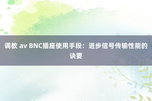 调教 av BNC插座使用手段：进步信号传输性能的诀要