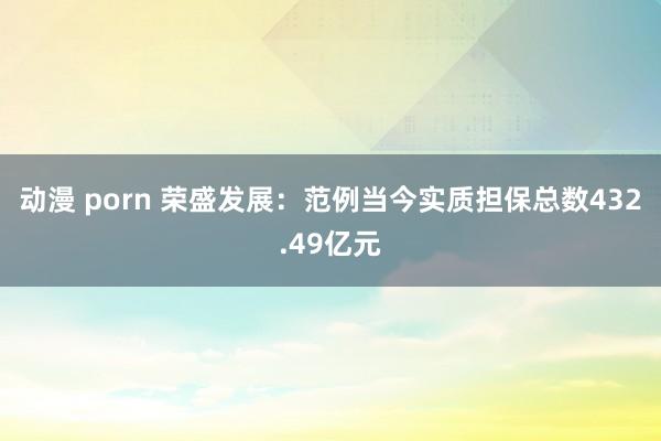 动漫 porn 荣盛发展：范例当今实质担保总数432.49亿元