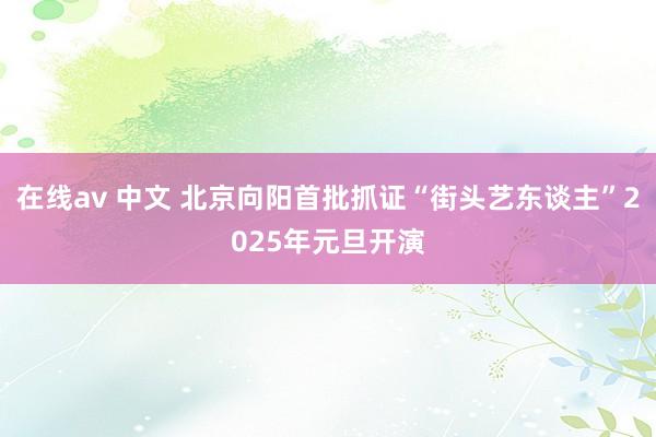 在线av 中文 北京向阳首批抓证“街头艺东谈主”2025年元旦开演