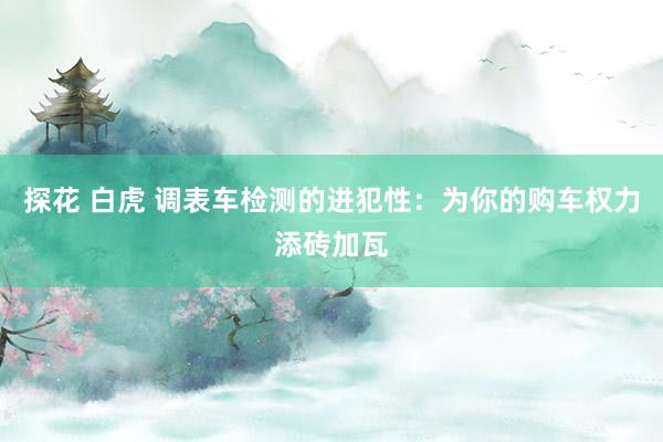 探花 白虎 调表车检测的进犯性：为你的购车权力添砖加瓦
