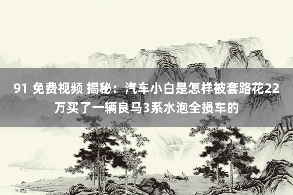 91 免费视频 揭秘：汽车小白是怎样被套路花22万买了一辆良马3系水泡全损车的