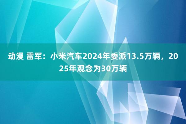 动漫 雷军：小米汽车2024年委派13.5万辆，2025年观念为30万辆