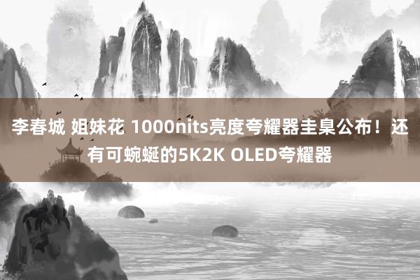 李春城 姐妹花 1000nits亮度夸耀器圭臬公布！还有可蜿蜒的5K2K OLED夸耀器