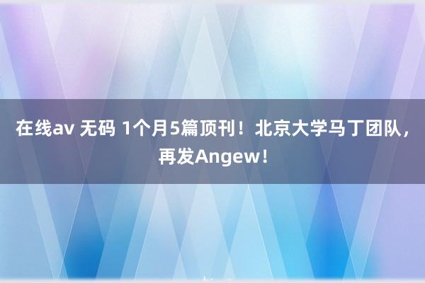 在线av 无码 1个月5篇顶刊！北京大学马丁团队，再发Angew！