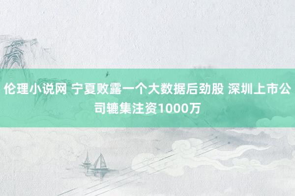 伦理小说网 宁夏败露一个大数据后劲股 深圳上市公司辘集注资1000万