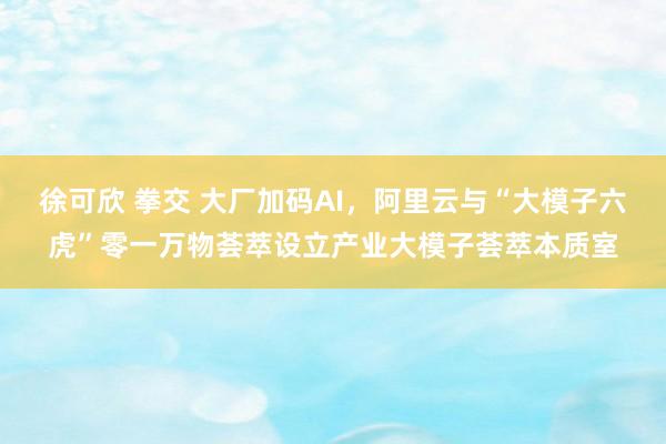 徐可欣 拳交 大厂加码AI，阿里云与“大模子六虎”零一万物荟萃设立产业大模子荟萃本质室
