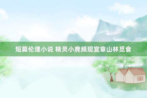 短篇伦理小说 精灵小麂频现宜章山林觅食