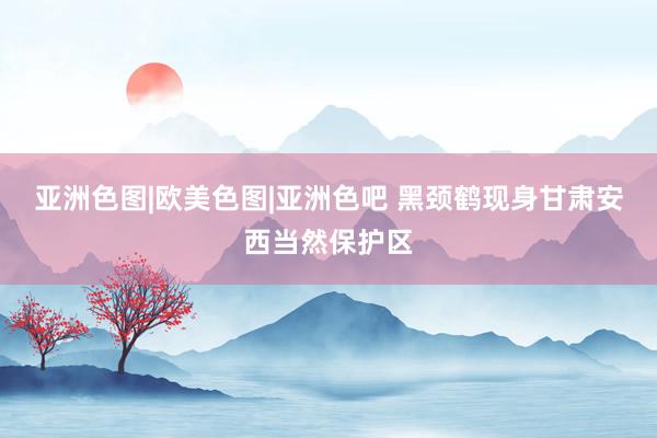亚洲色图|欧美色图|亚洲色吧 黑颈鹤现身甘肃安西当然保护区