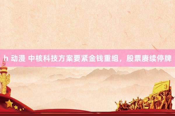 h 动漫 中核科技方案要紧金钱重组，股票赓续停牌