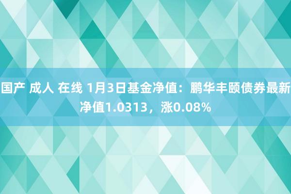 国产 成人 在线 1月3日基金净值：鹏华丰颐债券最新净值1.0313，涨0.08%