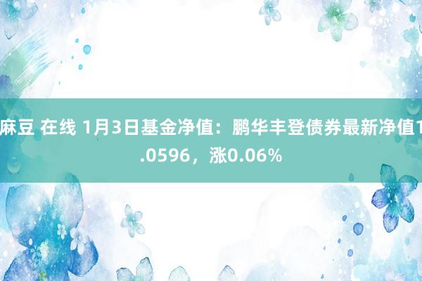 麻豆 在线 1月3日基金净值：鹏华丰登债券最新净值1.0596，涨0.06%