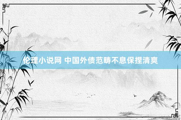 伦理小说网 中国外债范畴不息保捏清爽