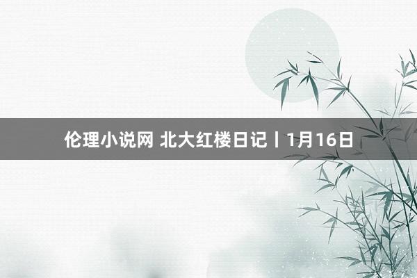 伦理小说网 北大红楼日记丨1月16日
