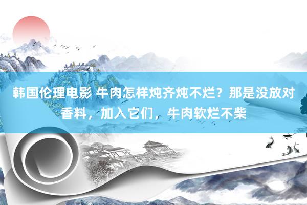 韩国伦理电影 牛肉怎样炖齐炖不烂？那是没放对香料，加入它们，牛肉软烂不柴