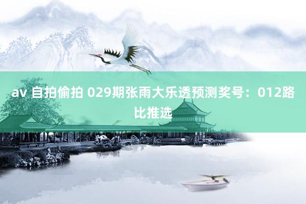 av 自拍偷拍 029期张雨大乐透预测奖号：012路比推选