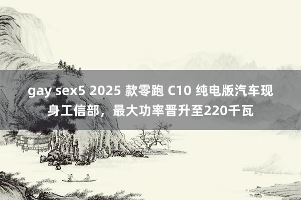 gay sex5 2025 款零跑 C10 纯电版汽车现身工信部，最大功率晋升至220千瓦