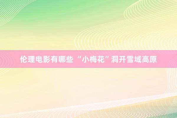 伦理电影有哪些 “小梅花”洞开雪域高原