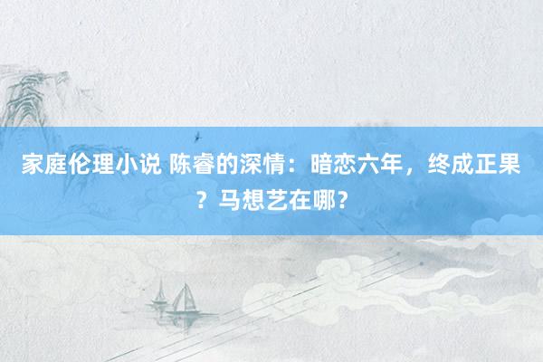 家庭伦理小说 陈睿的深情：暗恋六年，终成正果？马想艺在哪？
