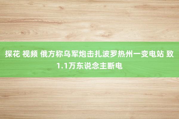 探花 视频 俄方称乌军炮击扎波罗热州一变电站 致1.1万东说念主断电