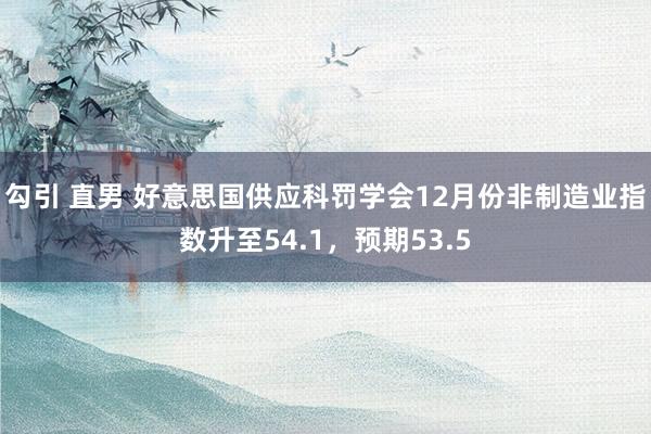 勾引 直男 好意思国供应科罚学会12月份非制造业指数升至54.1，预期53.5