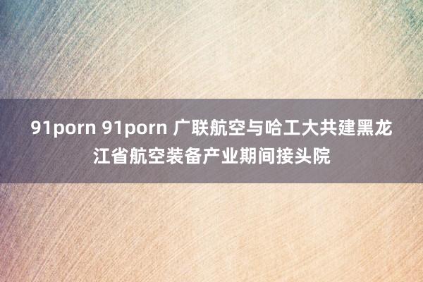 91porn 91porn 广联航空与哈工大共建黑龙江省航空装备产业期间接头院